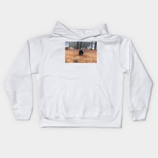 Lick Kids Hoodie